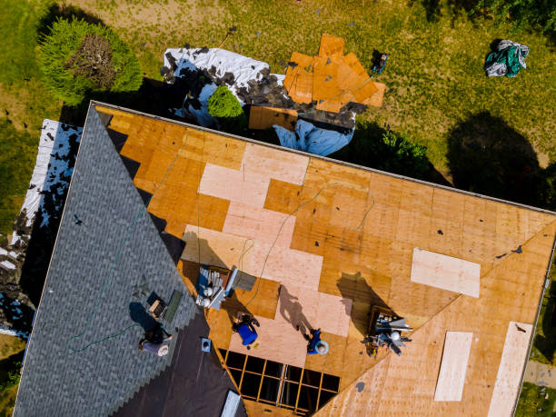 Best Storm Damage Roof Repair  in Dadeville, AL
